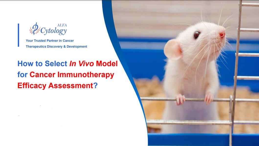 One-stop Preclinical Services for Cancer Research