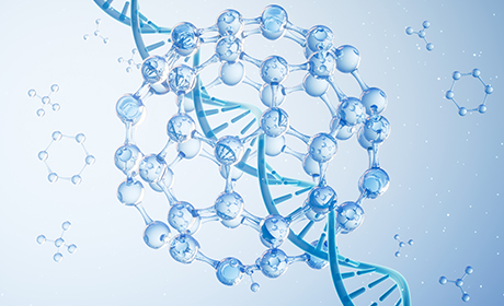 Breast Cancer Cell Lines