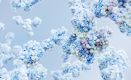 Breast Cancer Cell Lines