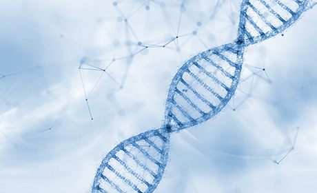 Breast Cancer Cell Lines