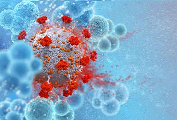 Targets and Pathways