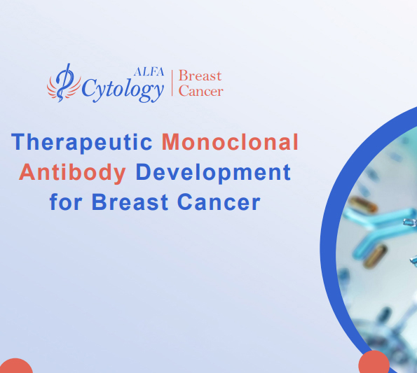 Therapeutic Monoclonal Antibody Development for Breast Cancer