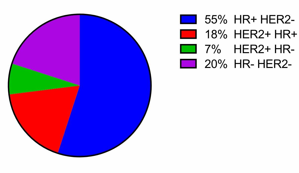 Fig.1 ILC subtypes by IHC. (McCart Reed, A.E., et al., 2021)