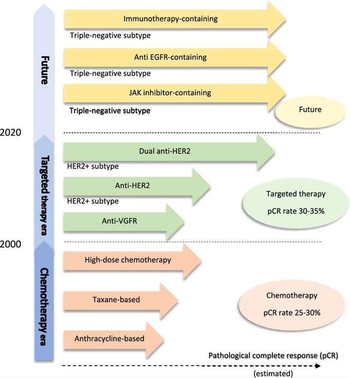 Fig.1 Update on systemic treatment for inflammatory breast cancer. (Chainitikun S., et al. 2020)