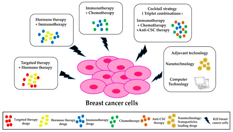 Fig.1 Schematic illustration of current treatments for breast cancer. (Wang Y., et al. 2022)