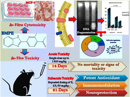 Toxicological profiling of a de novo synthesized benzimidazole derivative.