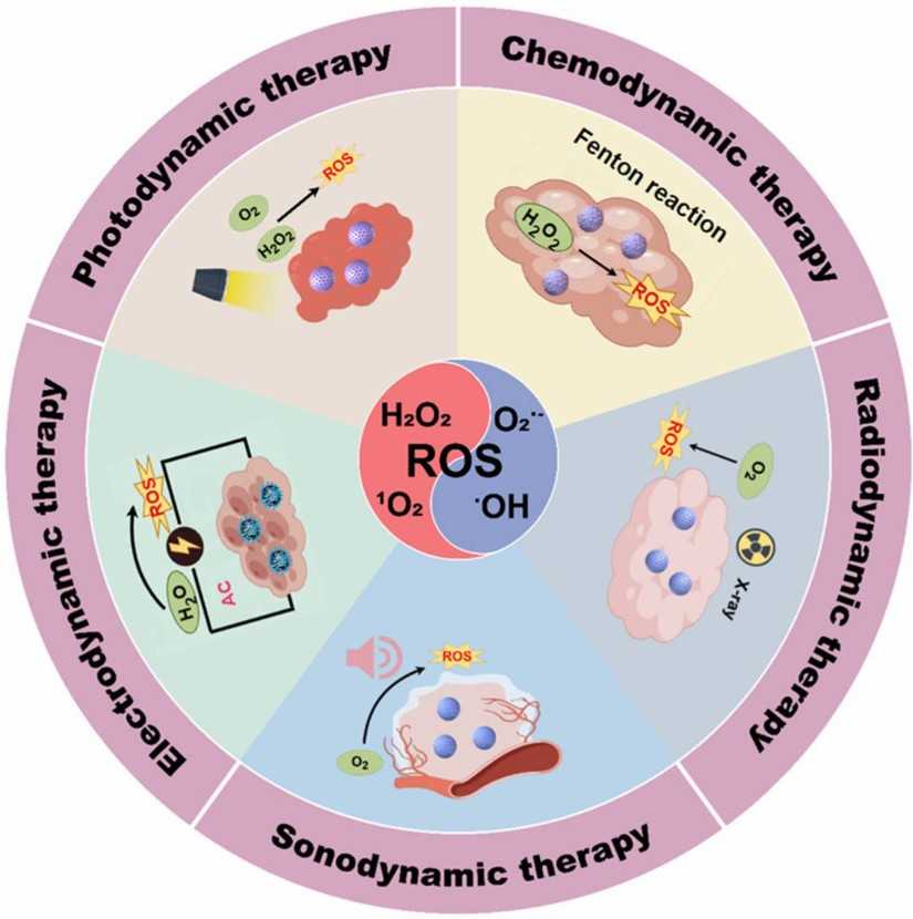 Fig.1 chematic illustration of the therapeutic modalities of nanodynamic therapy (NDT). (Zhang B. E., et al. 2024)