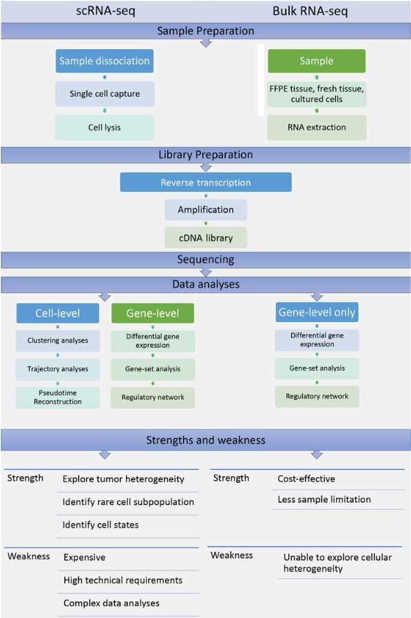 Workflow of a typical single‐cell RNA‐sequencing experiment and traditional bulk RNA analyses.