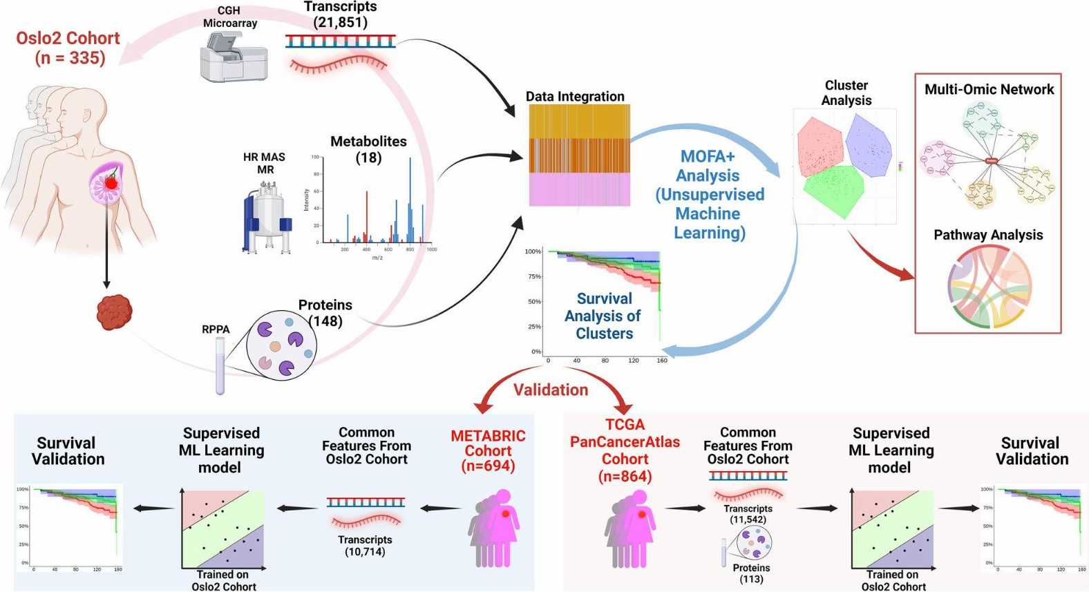 Fig.1 Transcriptomic, metabolomic and proteomic profiles were obtained from BC tissue samples. (Freitas A. J. A. d., et al., 2021)