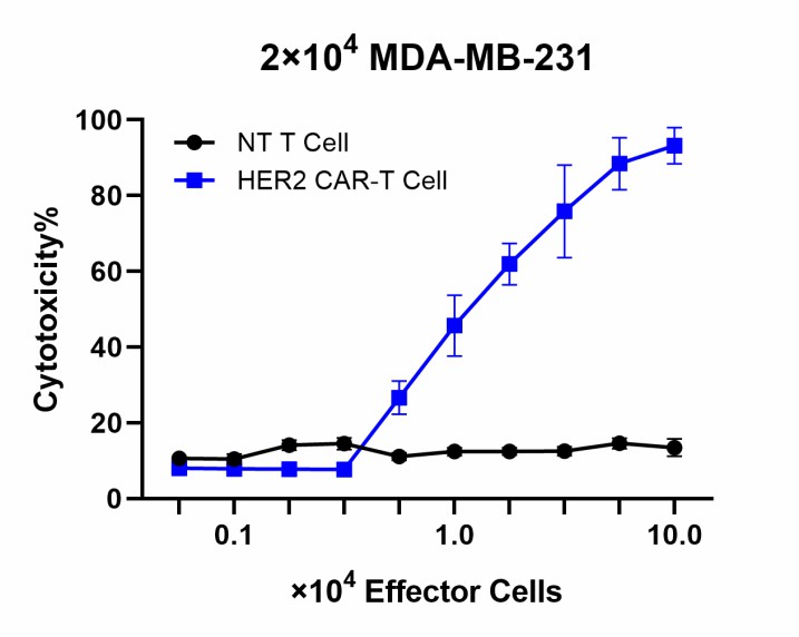 Cytotoxicity assay