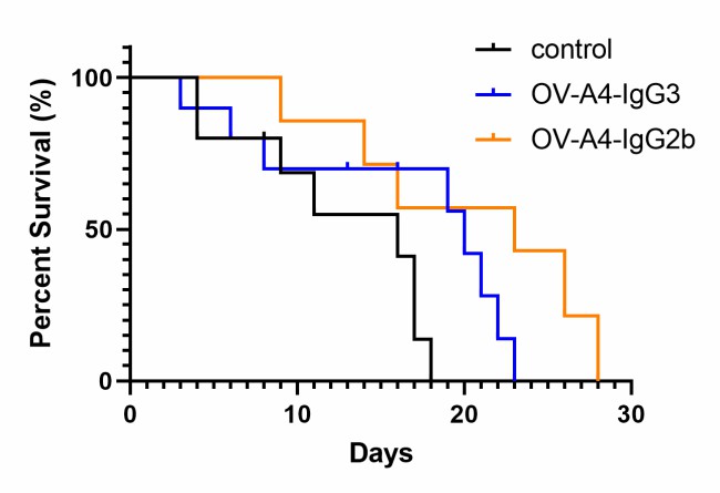 Assessment of the survival