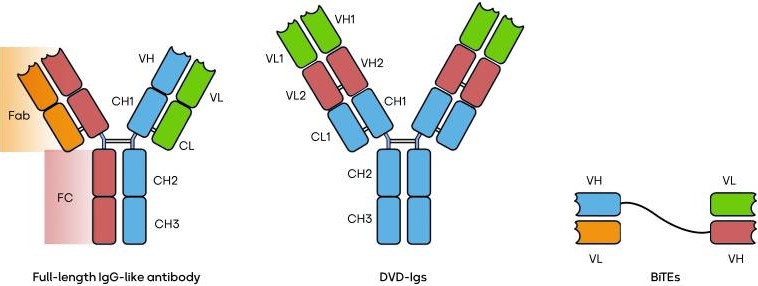 Three types of BsAb.