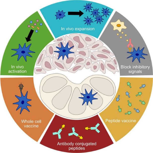 Treatments targeting dendritic cells.