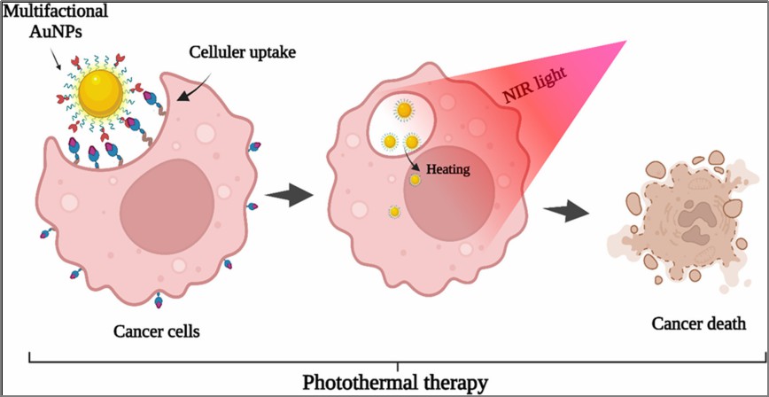 Photothermal therapy principle diagram.