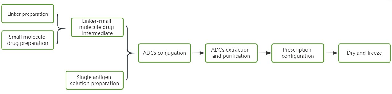 ADCs preparation process.