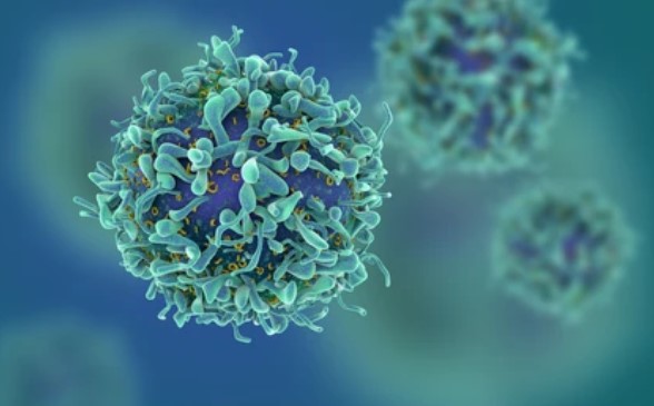 Autologous CAR-T cells