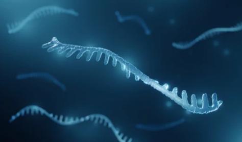 Breast Cancer Single-Cell Sequencing Analysis