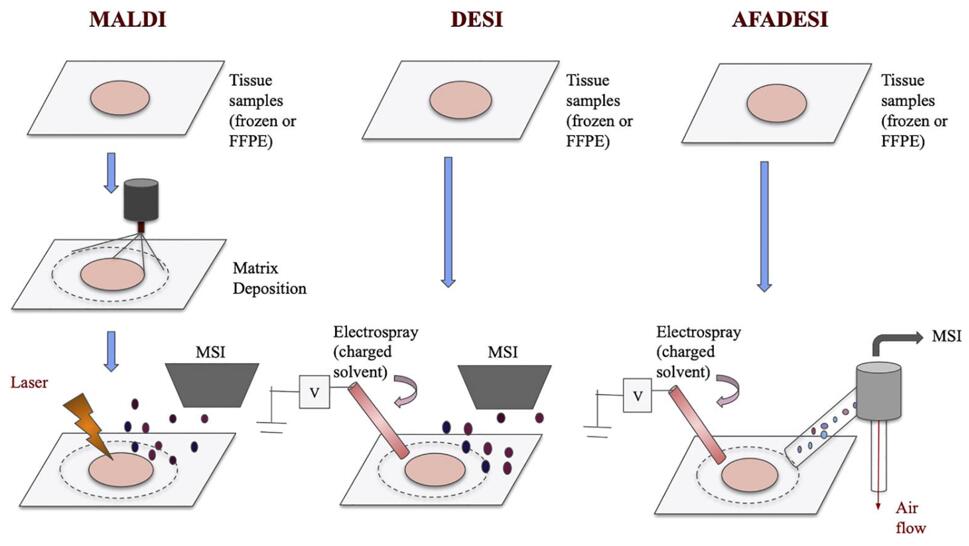 MALDI, DESI, and AFADESI schematics.
