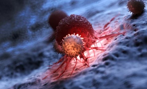 TIL isolation and culture