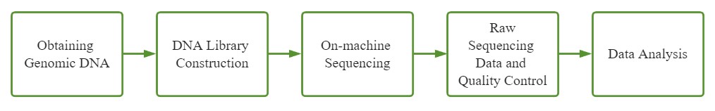 WGS service process.