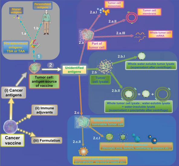 Fig.1Schematic representation of the sources of tumor antigens used to prepare cancer vaccines.