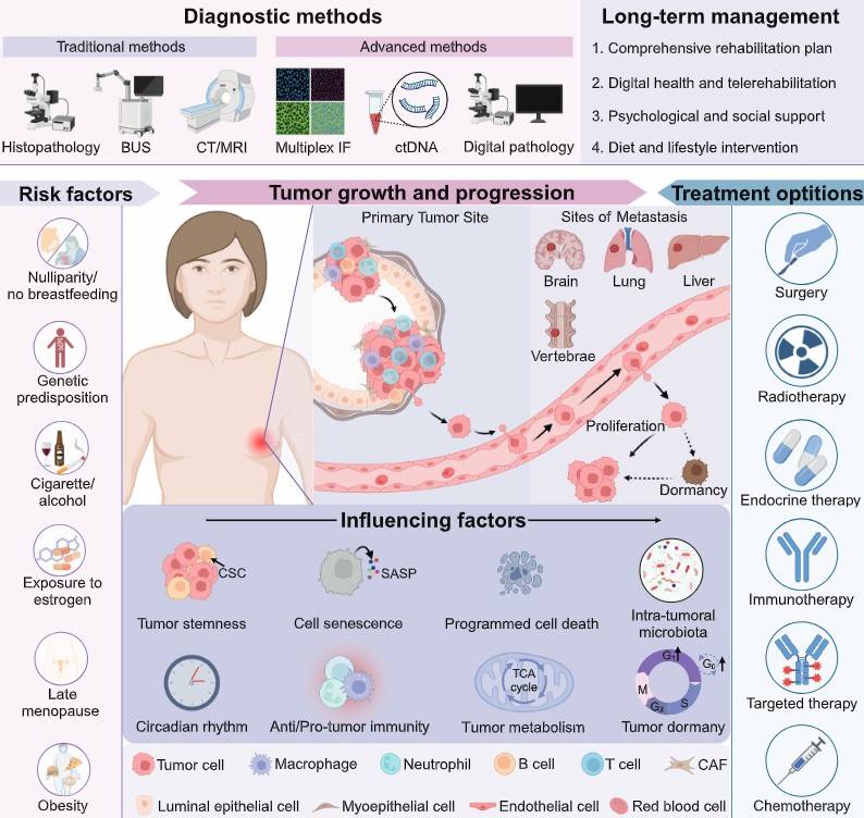 Breast cancer pathogenesis and treatment